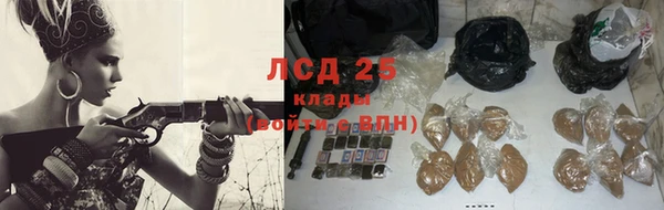 дживик Аркадак