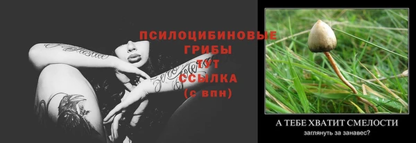 дживик Аркадак