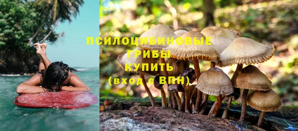 винт Армянск